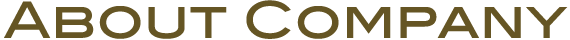 About Company
